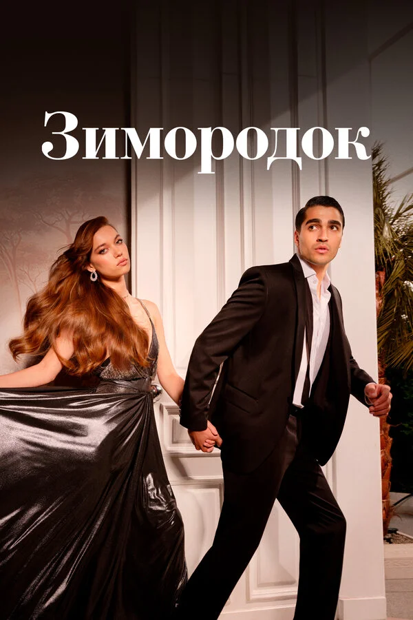 Зимородок 1 сезон 2 серия