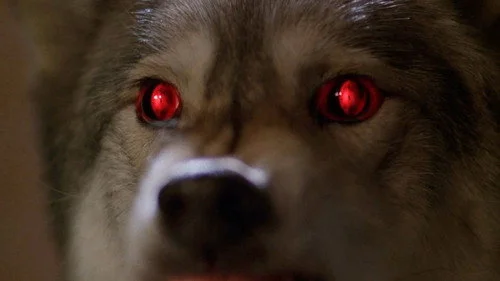 Секретные материалы 6 сезон 2 серия