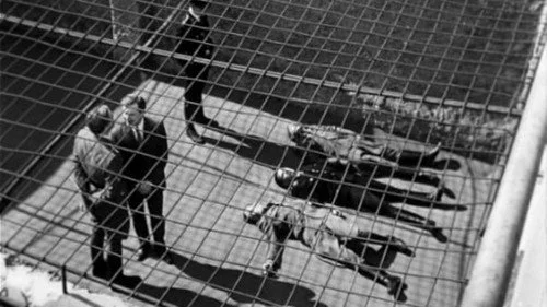  Семнадцать мгновений весны 1 сезон 4 серия — кадр