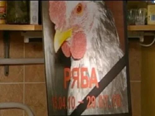 Универ 4 сезон 3 серия